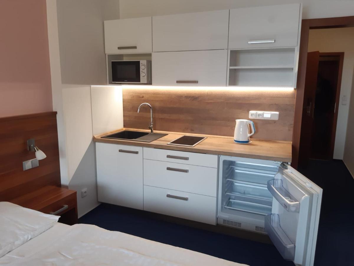 Wellness Apartment Frymburk