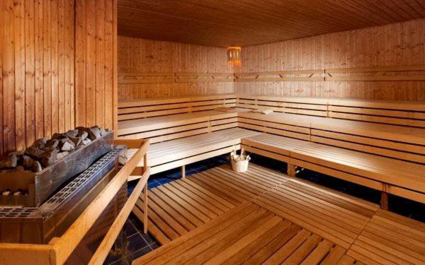 Wellness Apartment Frymburk